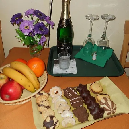 Maison d'hôtes U Lesa Ceske Budejovice