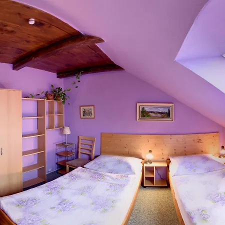 Pensión U Lesa Ceske Budejovice