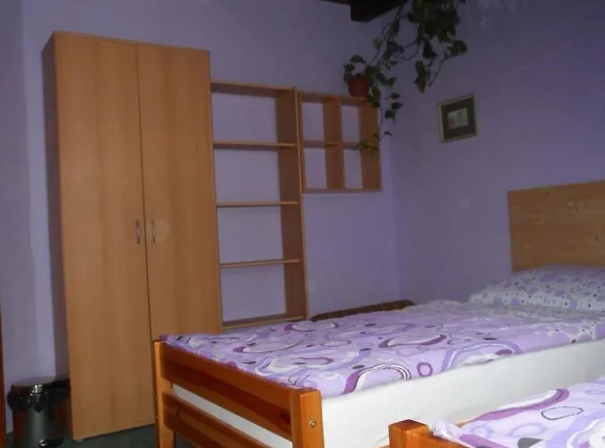 U Lesa Affittacamere Ceske Budejovice
