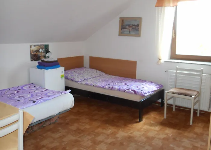 U Lesa Penzion 3*